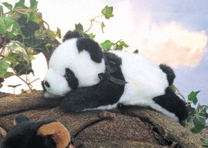 Picture of Bearington Collection - Ping